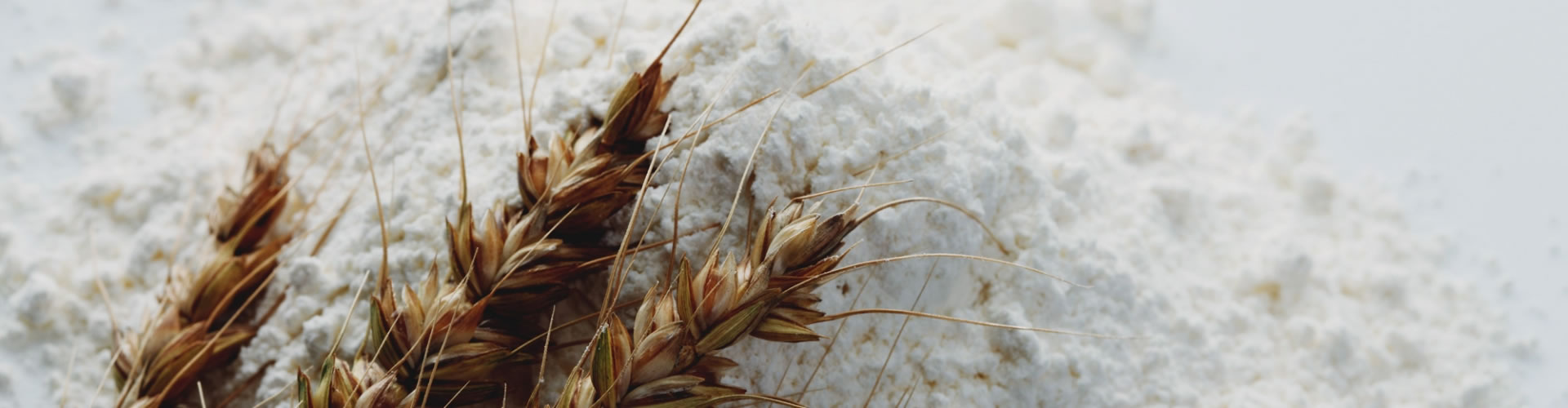 小麦やそば粉のイメージ画像